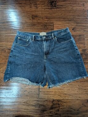 Everlane Women's Relaxed Denim Shorts Size 32